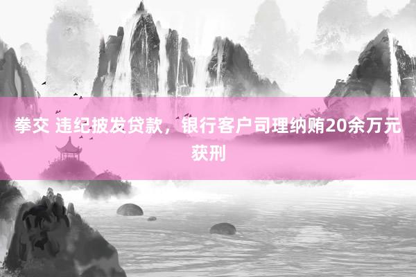 拳交 违纪披发贷款，银行客户司理纳贿20余万元获刑