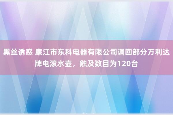 黑丝诱惑 廉江市东科电器有限公司调回部分万利达牌电滚水壶，触及数目为120台