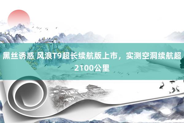 黑丝诱惑 风浪T9超长续航版上市，实测空洞续航超2100公里