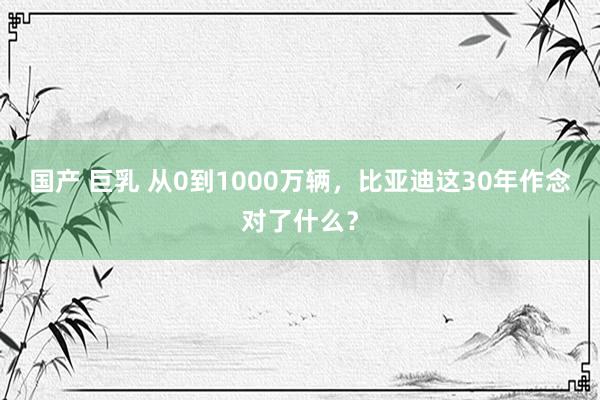 国产 巨乳 从0到1000万辆，比亚迪这30年作念对了什么？