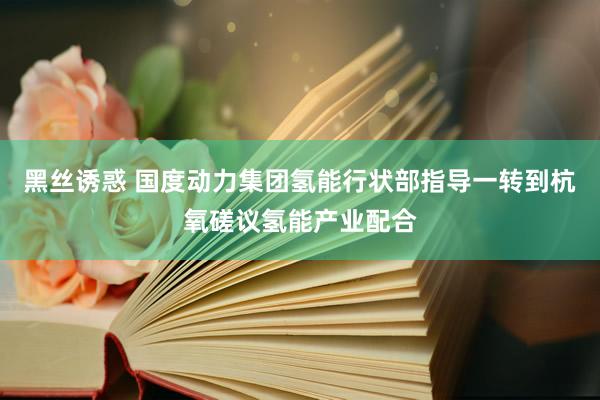 黑丝诱惑 国度动力集团氢能行状部指导一转到杭氧磋议氢能产业配合