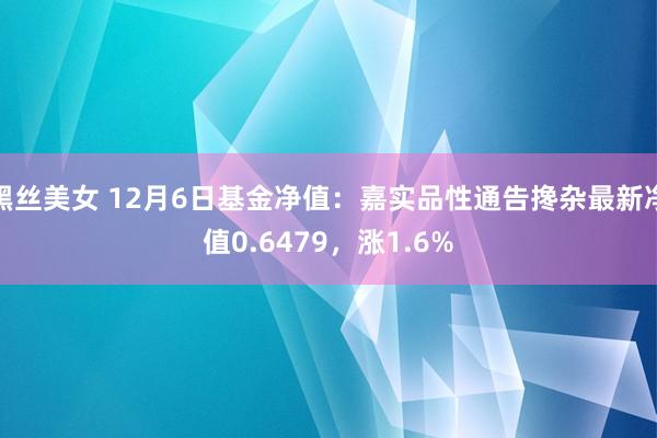 黑丝美女 12月6日基金净值：嘉实品性通告搀杂最新净值0.6479，涨1.6%