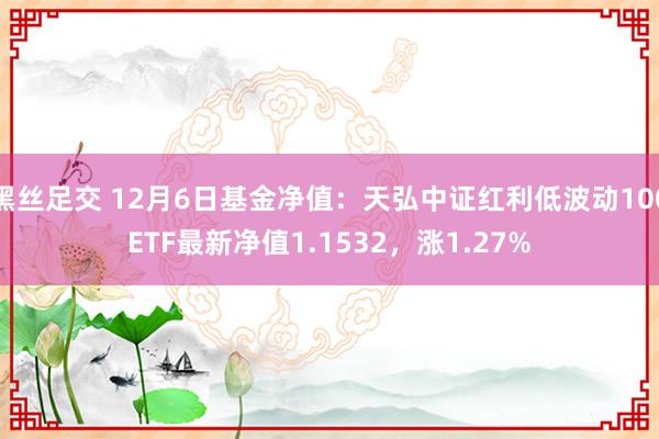 黑丝足交 12月6日基金净值：天弘中证红利低波动100ETF最新净值1.1532，涨1.27%