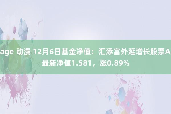 age 动漫 12月6日基金净值：汇添富外延增长股票A最新净值1.581，涨0.89%