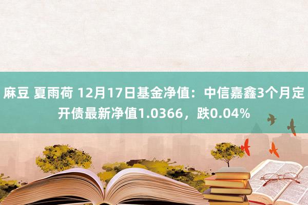 麻豆 夏雨荷 12月17日基金净值：中信嘉鑫3个月定开债最新净值1.0366，跌0.04%