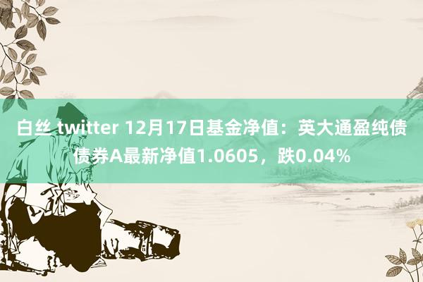 白丝 twitter 12月17日基金净值：英大通盈纯债债券A最新净值1.0605，跌0.04%