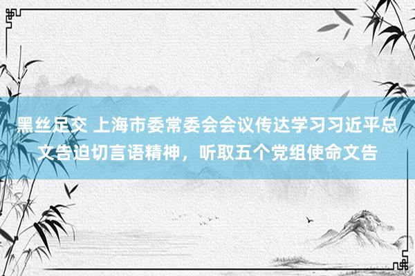 黑丝足交 上海市委常委会会议传达学习习近平总文告迫切言语精神，听取五个党组使命文告