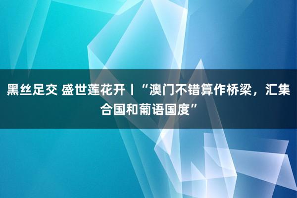 黑丝足交 盛世莲花开丨“澳门不错算作桥梁，汇集合国和葡语国度”