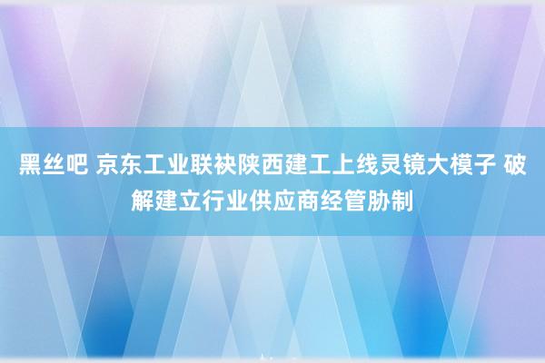 黑丝吧 京东工业联袂陕西建工上线灵镜大模子 破解建立行业供应商经管胁制