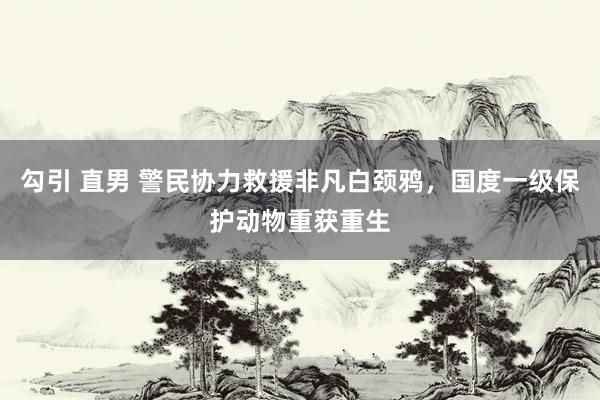 勾引 直男 警民协力救援非凡白颈鸦，国度一级保护动物重获重生