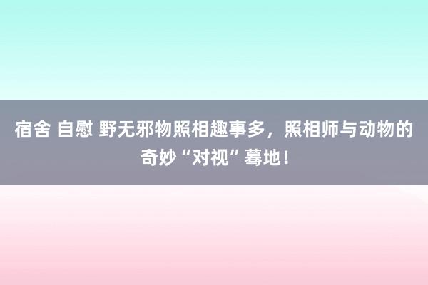 宿舍 自慰 野无邪物照相趣事多，照相师与动物的奇妙“对视”蓦地！