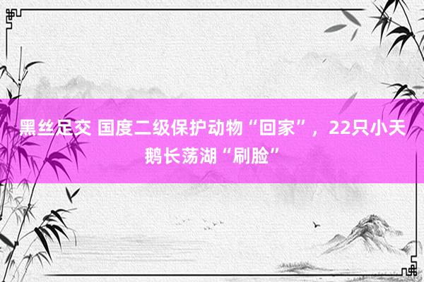 黑丝足交 国度二级保护动物“回家”，22只小天鹅长荡湖“刷脸”