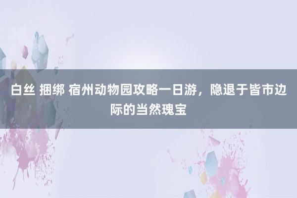 白丝 捆绑 宿州动物园攻略一日游，隐退于皆市边际的当然瑰宝