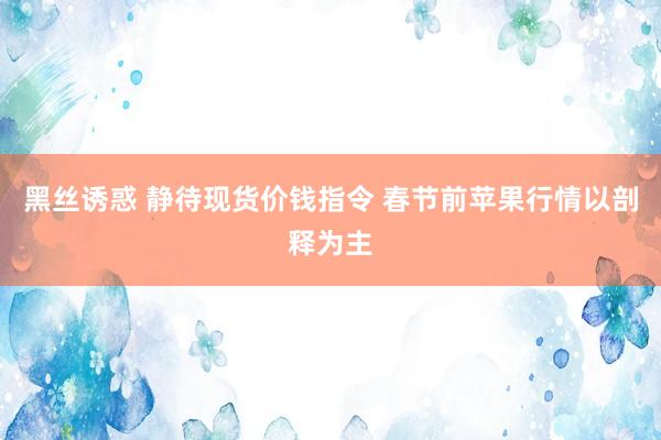 黑丝诱惑 静待现货价钱指令 春节前苹果行情以剖释为主