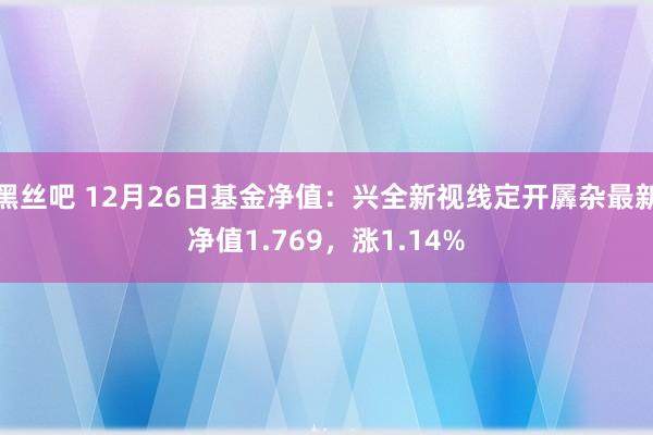 黑丝吧 12月26日基金净值：兴全新视线定开羼杂最新净值1.769，涨1.14%