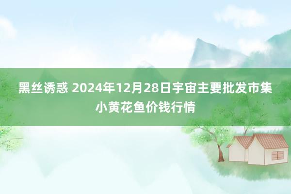 黑丝诱惑 2024年12月28日宇宙主要批发市集小黄花鱼价钱行情