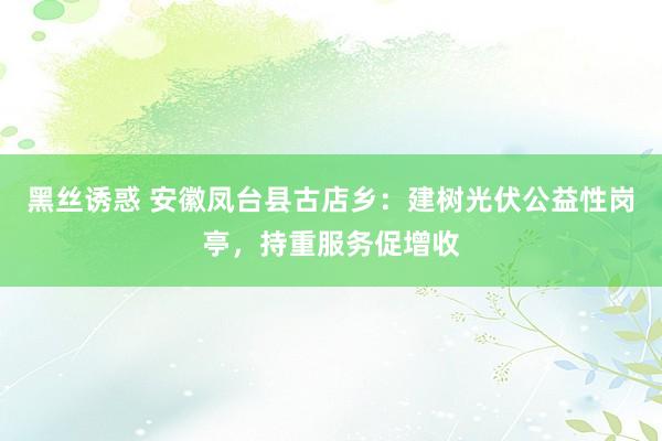 黑丝诱惑 安徽凤台县古店乡：建树光伏公益性岗亭，持重服务促增收