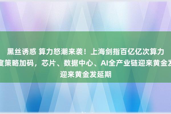 黑丝诱惑 算力怒潮来袭！上海剑指百亿亿次算力，国度策略加码，芯片、数据中心、AI全产业链迎来黄金发延期