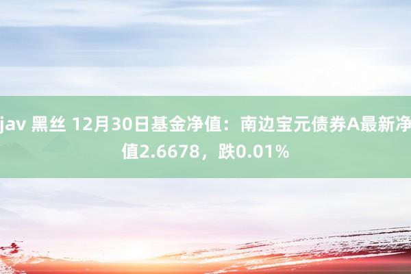 jav 黑丝 12月30日基金净值：南边宝元债券A最新净值2.6678，跌0.01%