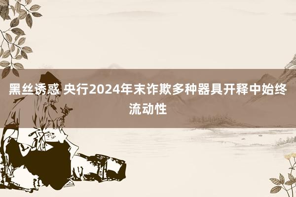 黑丝诱惑 央行2024年末诈欺多种器具开释中始终流动性