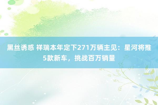 黑丝诱惑 祥瑞本年定下271万辆主见：星河将推5款新车，挑战百万销量