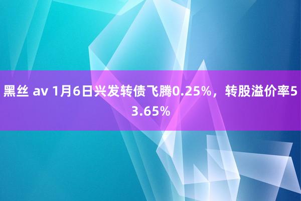 黑丝 av 1月6日兴发转债飞腾0.25%，转股溢价率53.65%