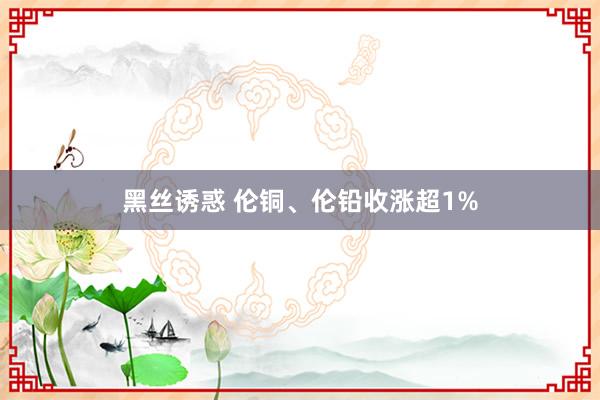 黑丝诱惑 伦铜、伦铅收涨超1%