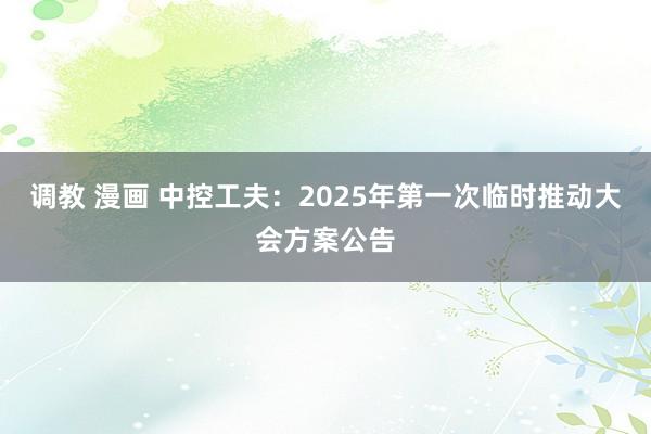 调教 漫画 中控工夫：2025年第一次临时推动大会方案公告