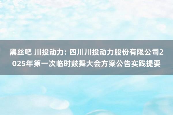 黑丝吧 川投动力: 四川川投动力股份有限公司2025年第一次临时鼓舞大会方案公告实践提要