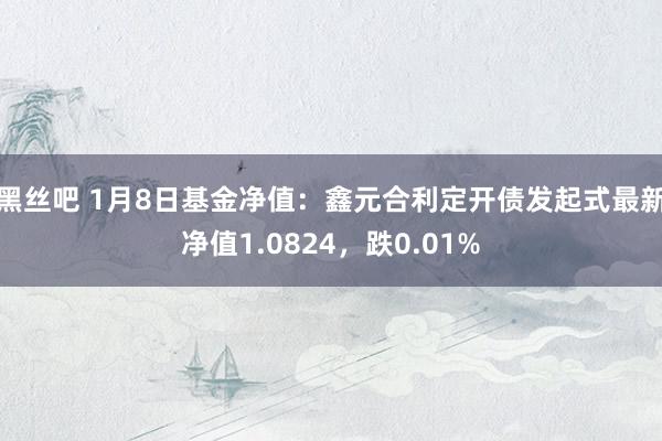 黑丝吧 1月8日基金净值：鑫元合利定开债发起式最新净值1.0824，跌0.01%