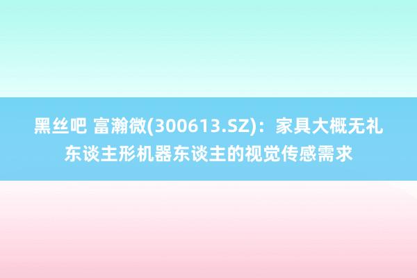 黑丝吧 富瀚微(300613.SZ)：家具大概无礼东谈主形机器东谈主的视觉传感需求