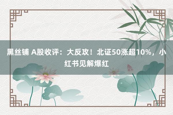 黑丝铺 A股收评：大反攻！北证50涨超10%，小红书见解爆红