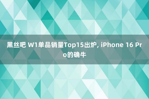 黑丝吧 W1单品销量Top15出炉， iPhone 16 Pro的确牛