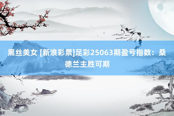 黑丝美女 [新浪彩票]足彩25063期盈亏指数：桑德兰主胜可期